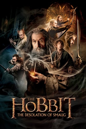 ดูหนังออนไลน์ฟรี The Hobbit The Desolation of Smaug เดอะ ฮอบบิท 1 ดินแดนเปลี่ยวร้างของสม็อค