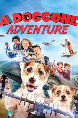 ดูหนังออนไลน์ฟรี A DOGGONE ADVENTURE (2018) หมาน้อยผจญภัย