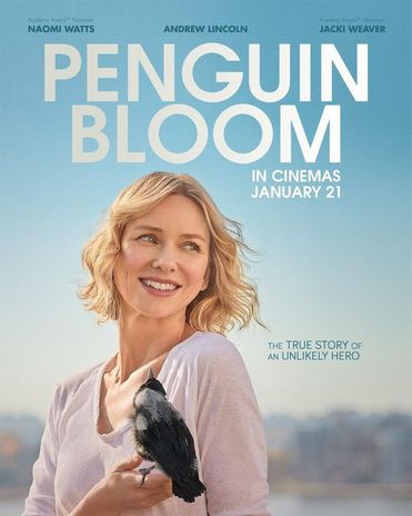 ดูหนังออนไลน์ฟรี Penguin Bloom เพนกวิน บลูม (2020)